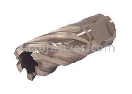 Walter - 1 1/16" X 3"SST CORE CUT - 662980953860
