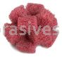 Standard Abrasives Buff and Blend Cross Buff HP 725013 1-1/2" x 1/2" x 2 Ply x 8-32 A VFN Grit (Stock)