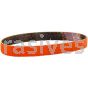Norton 1/2 x 12 60-Y Norton SG Blaze Plus PG S-Flex R980P File Belts