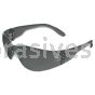 ERB 17501 IProtect Gray Temples Gray Lenses uncoated