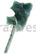 Osborn 3-1/2” ATB Heavy Duty Internal Brush (80 SC X 1/2” Stem)#36666
