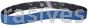 Norton 2 x 48 220-X Norton BlueFire R823P ZA Narrow Belts