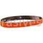 Norton 1/2 x 12 60-Y Norton SG Blaze Plus PG S-Flex R980P File Belts
