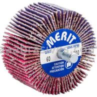 Norton 69957339723 2 x 1 x 1/4-20 Threaded 60 Grit Ceramic Alumina Pink R928 Flap Wheels
