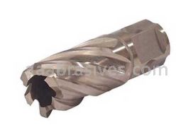 Walter Abrasives 05E100 1" X 1"  SST Core Cut Annular Cutter