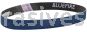 Norton 1 x 12 60-X BlueFire R823P File Belts