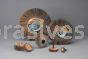 Standard Abrasives A/O Flexible Flap Wheel 613328 2" x 3/4" x 1/4" 120 Grit